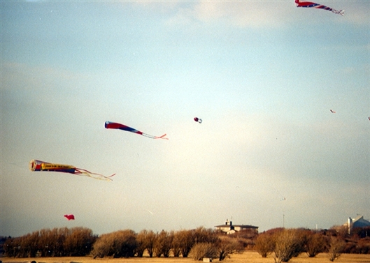 Click for large image