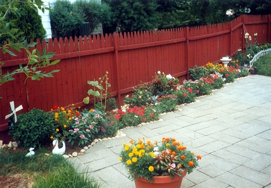 Click for large image