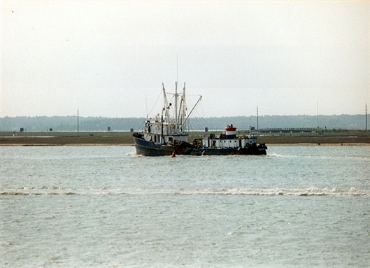 Click for large image