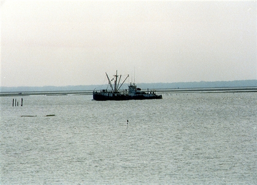 Click for large image