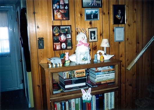 Click for large image