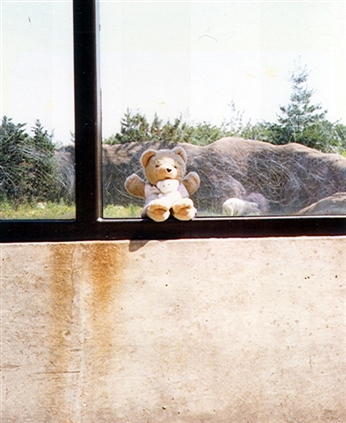 Click for large image