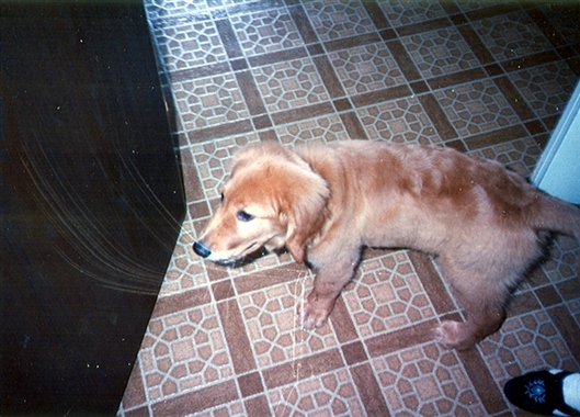 Click for large image