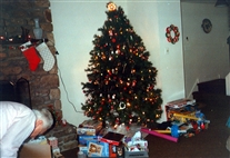 Click for large image