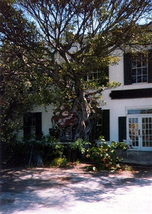 Click for large image