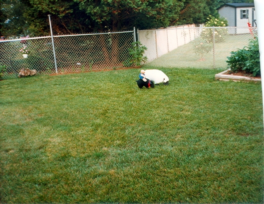 Click for large image