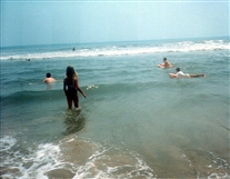 Click for large image