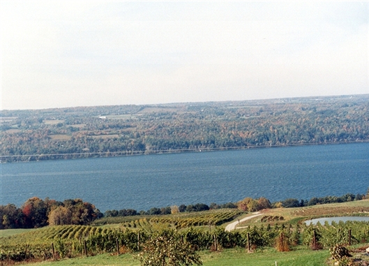 Click for large image