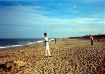 Click for large image