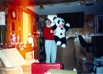 Click for large image