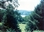 1989-0496-01.jpg