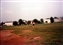 1989-0538-01.jpg