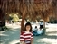1989-0596-01.jpg