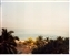 1989-0636-01.jpg