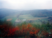 Click for large image