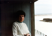 Click for large image