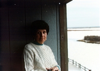Click for large image