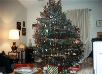 Click for large image