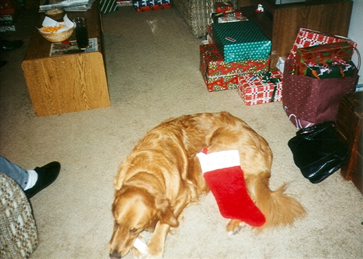 Click for large image
