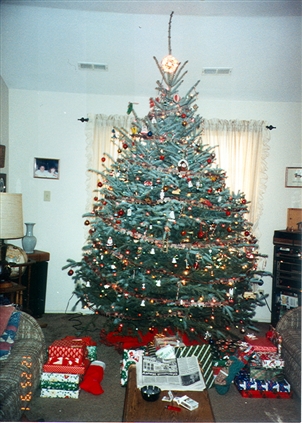 Click for large image