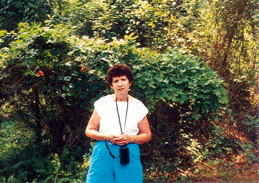 Click for large image