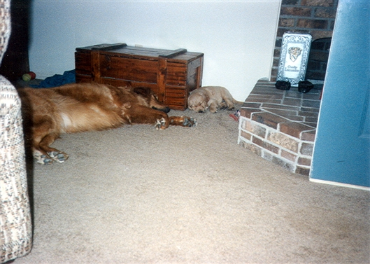 Click for large image