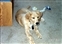 1991-0657-01.jpg