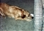 1991-0681-01.jpg