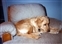 1991-0702-01.jpg
