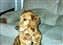 1991-0704-01.jpg