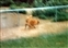 1991-0738-01.jpg