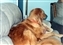 1991-0741-01.jpg