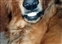 1991-0746-01.jpg