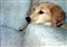 1991-0748-01.jpg