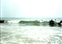 1991-0780-01.jpg