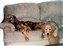 1991-0800-01.jpg