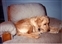 1991-0807-01.jpg