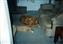 1991-0836-01.jpg