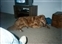 1991-0873-01.jpg