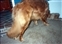 1991-0879-01.jpg