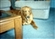 1991-0888-01.jpg