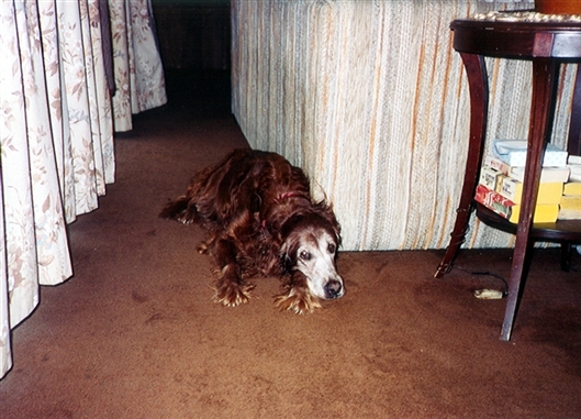 Click for large image