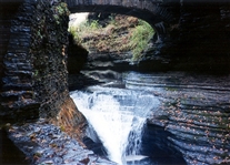 Click for large image