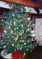 Click for large image