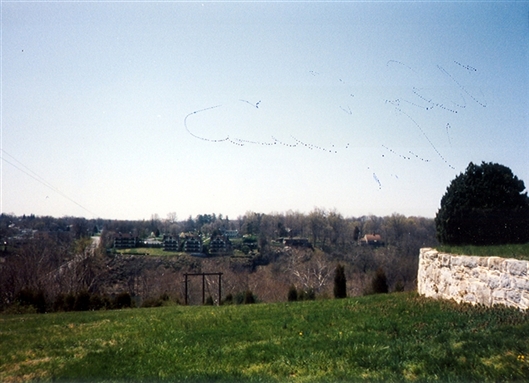 Click for large image