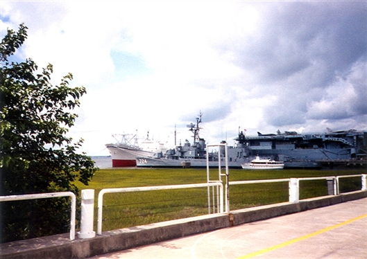 Click for large image