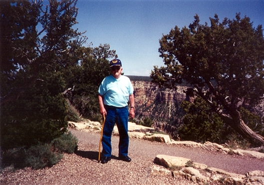 Click for large image