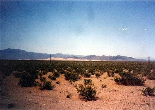 Click for large image