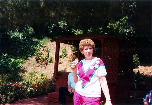Click for large image