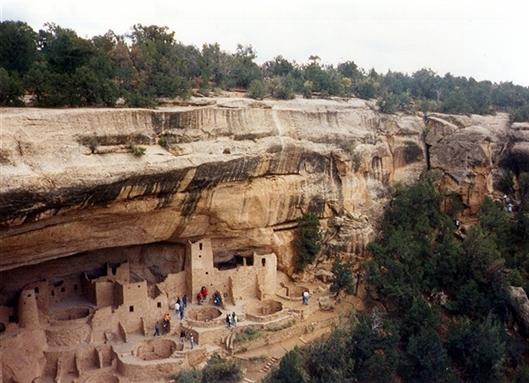 Click for large image